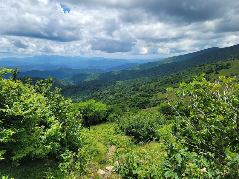 Take the Roan Mountain scenic route — Roan Mountain