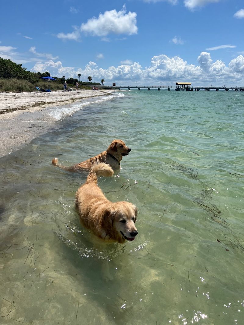 Fort De Soto Dog Park & Beach