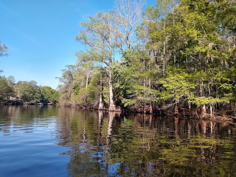 Fishing Opportunities Along the Withlacoochee
