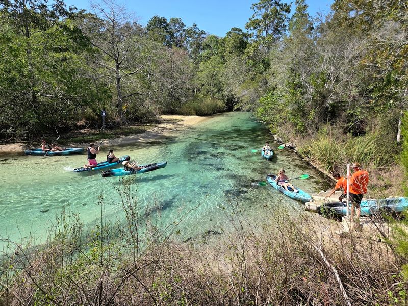 Weeki Wachee Springs (Weeki Wachee)