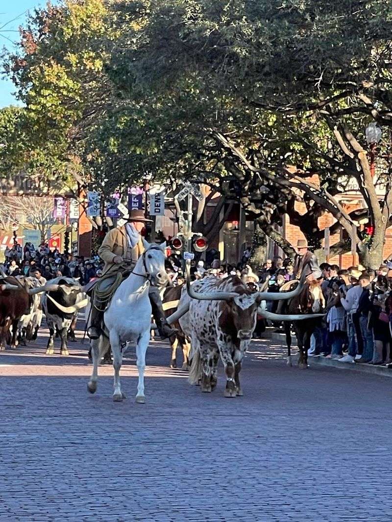 Twice-Daily Drives at 11:30 AM and 4:00 PM Sharp