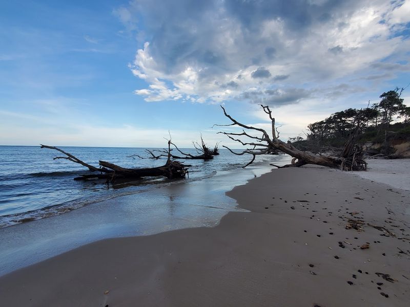 Boneyard Beach at Big Talbot Island State Park (Jacksonville)