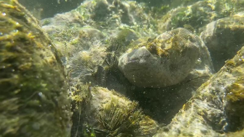 A Look Inside the Deep, Crystal-Clear Waters