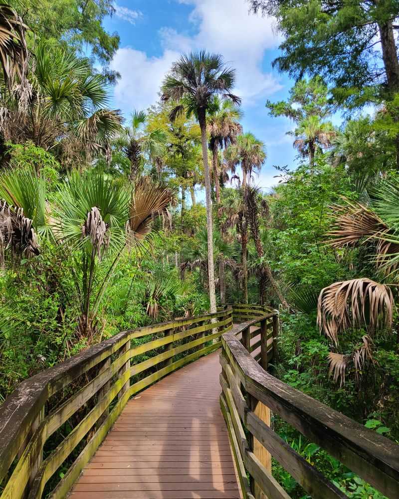 Why Black Bear Wilderness Is One of Florida's Wildest Hikes