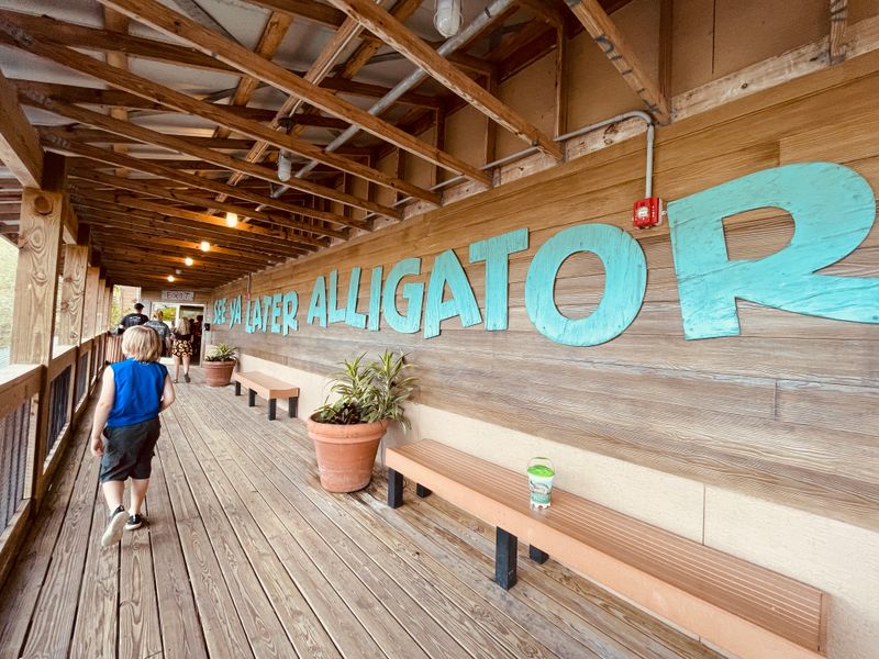 Timing, Tickets, and Tips