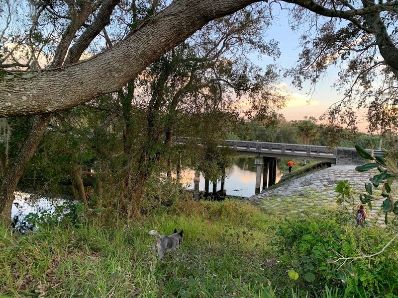 Joshua Creek (Arcadia)