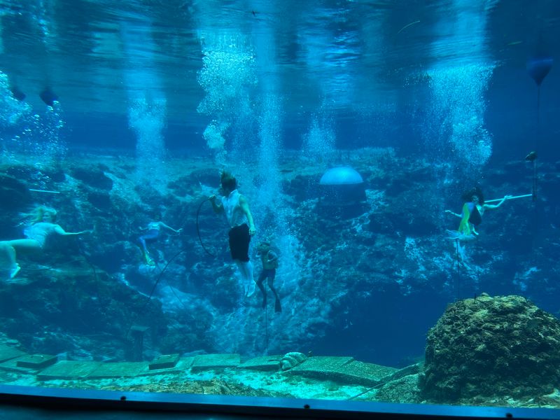 Weeki Wachee Springs State Park (Weeki Wachee)