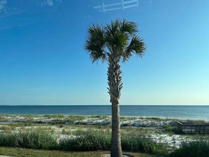 State Park Access That Protects Natural Beauty