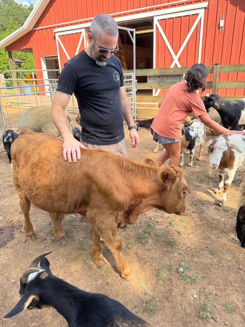 Guests Keep Praising the Care, Knowledge, and Heart Behind the Farm