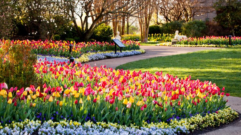 Cheekwood Estate and Gardens