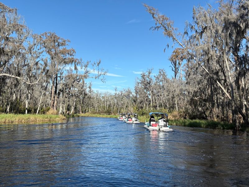 Winding Through Spanish Moss-Covered Canals