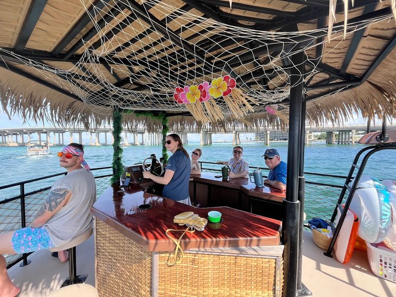 The Cruise Vibe You Will Love