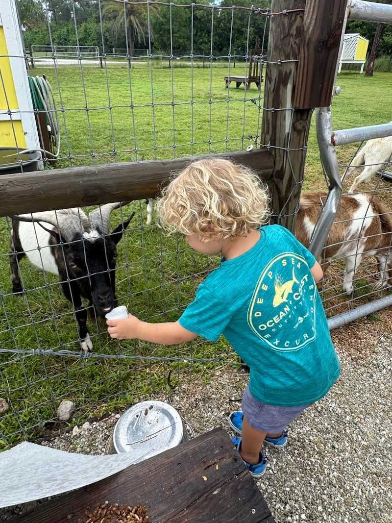 Hands-On Feeding Experiences That Won't Break the Bank