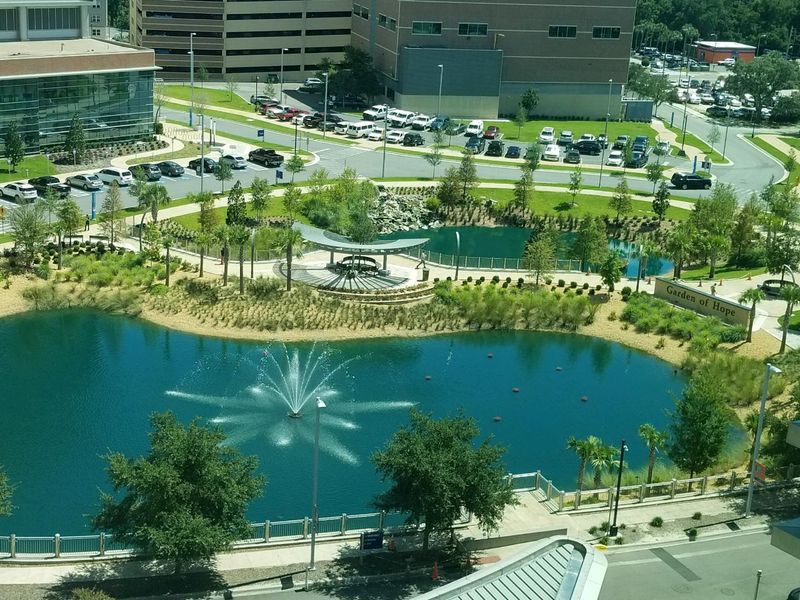 Grocery Shopping Like a Local