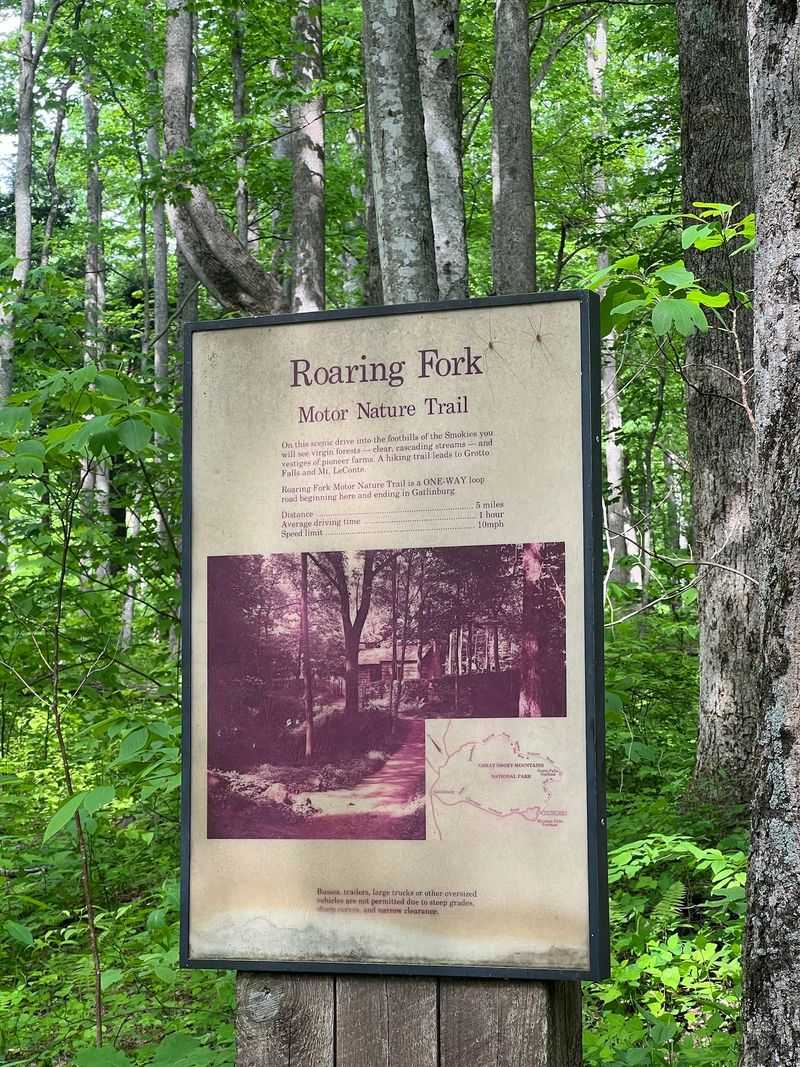 Things to Know Before You Go