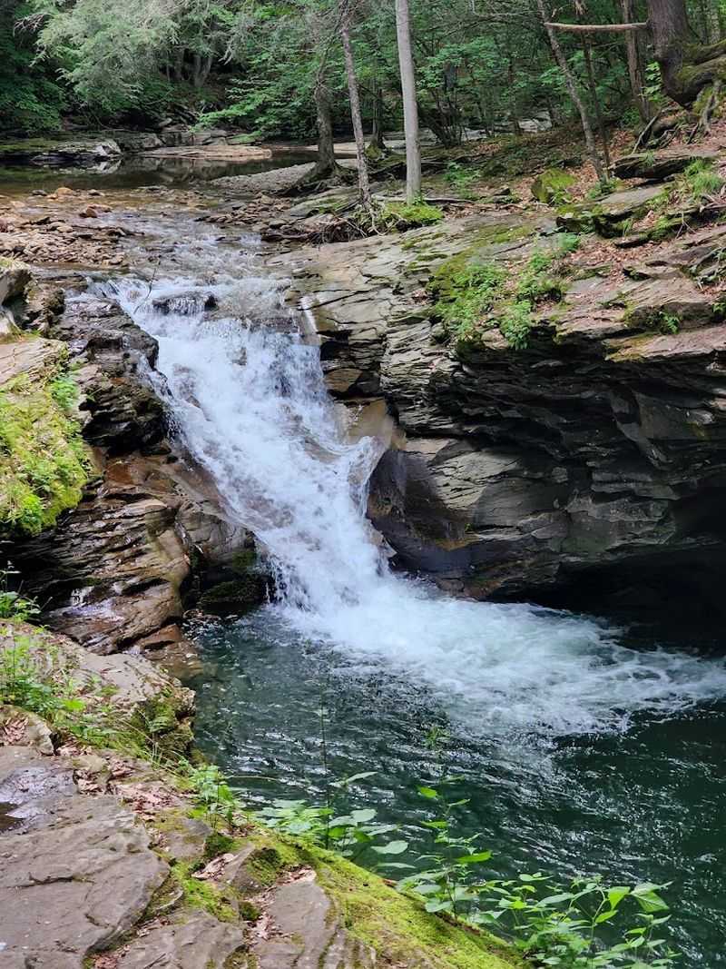 Finding Upper Rock Run Falls For The First Time