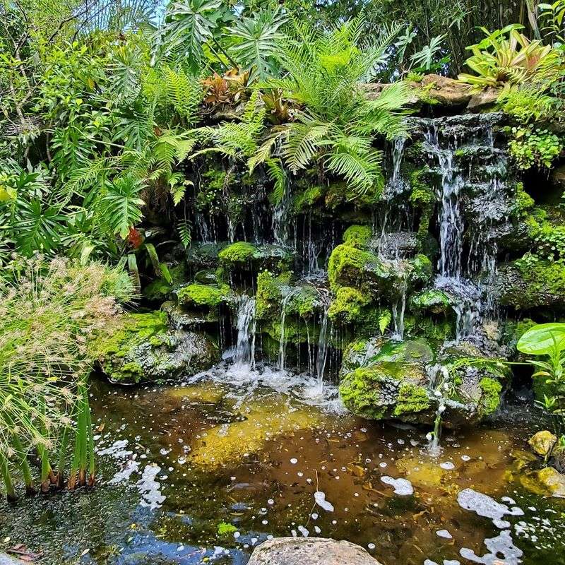 Water Features That Add Sound and Serenity
