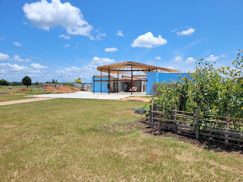 Rising from the Tornado: A Story of Resilience