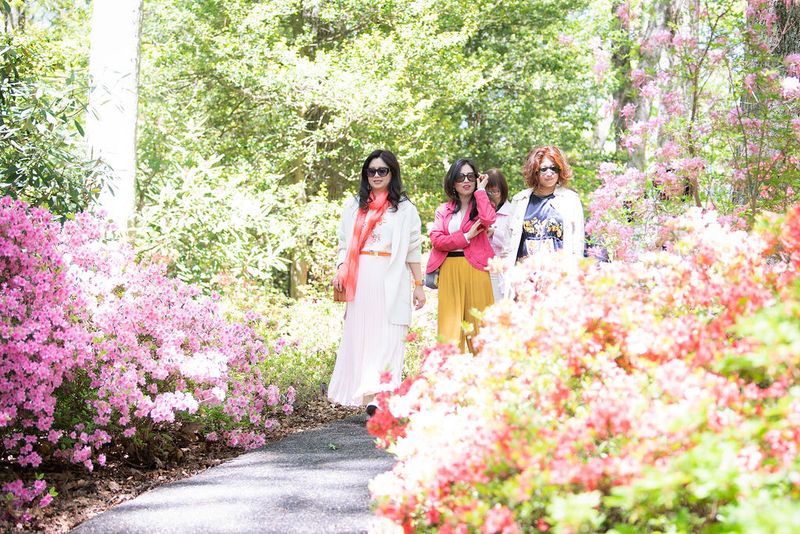 Jenkins Arboretum and Gardens, Devon