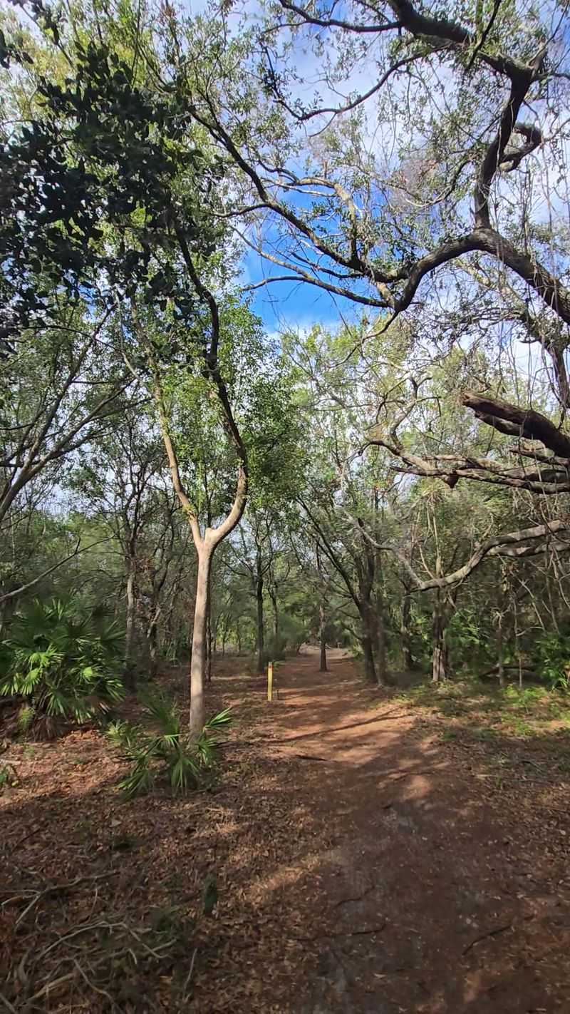 Dog-Friendly Trails That Pups Actually Love