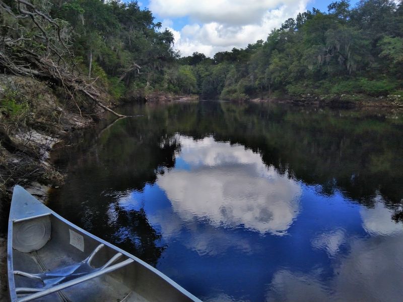 Suwannee River (North Florida)