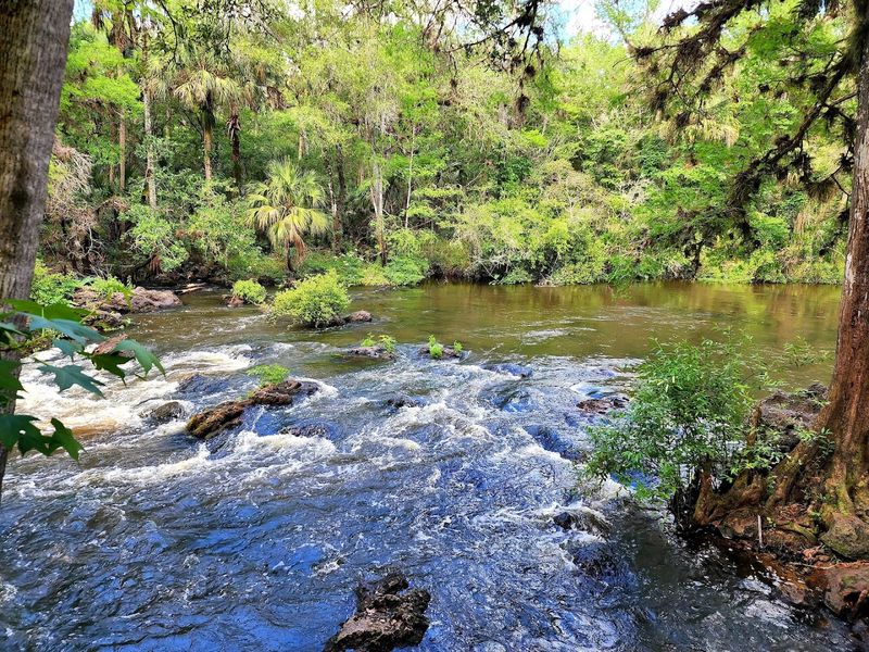 Hillsborough River Rapids (Thonotosassa)