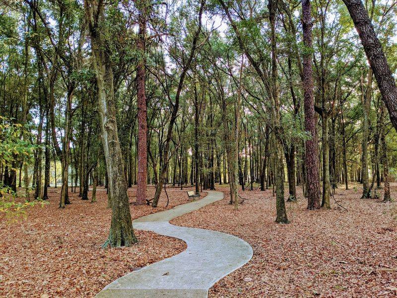 Walking Labyrinth That Guides Your Thoughts