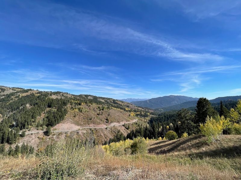 Wildlife Watching Close To Town