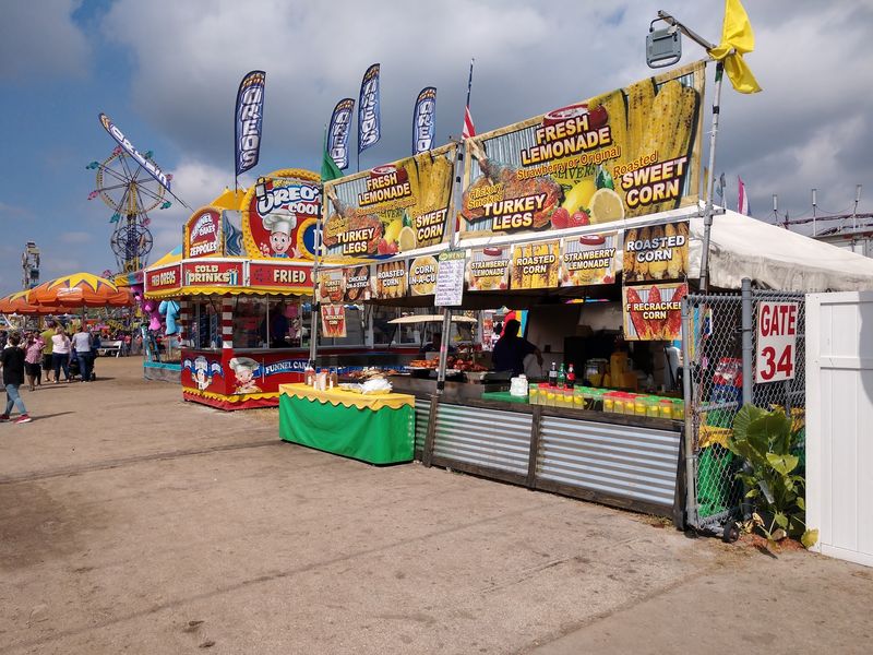 Florida Strawberry Festival Fun