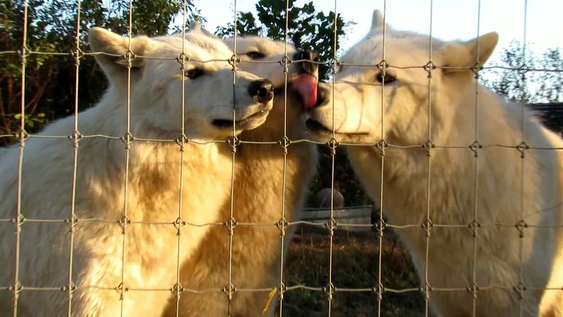 Best Time To Visit, Weather, And Photos