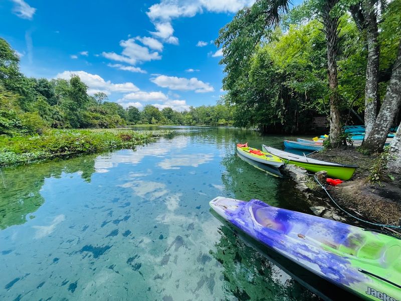Wekiwa (Wekiva) River