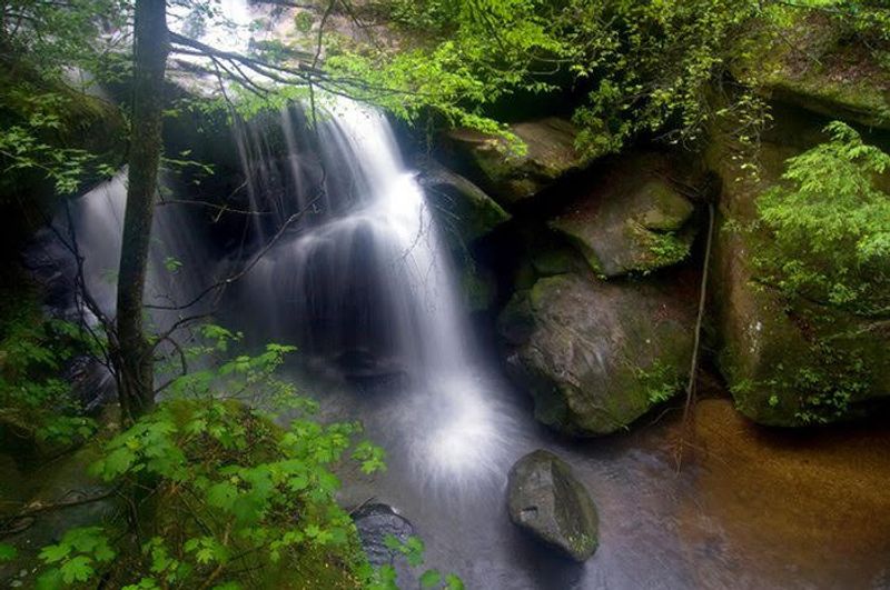 Best Seasons and Timing