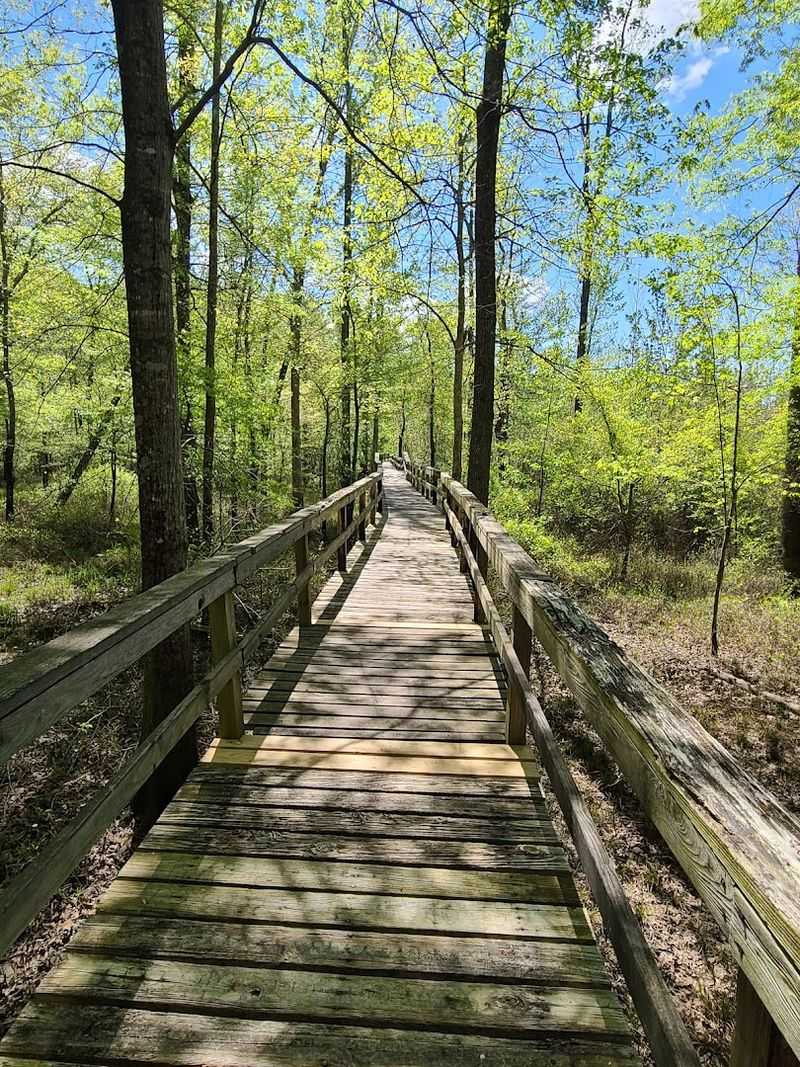 From Boardwalks to Tower Views, There's Plenty to Explore