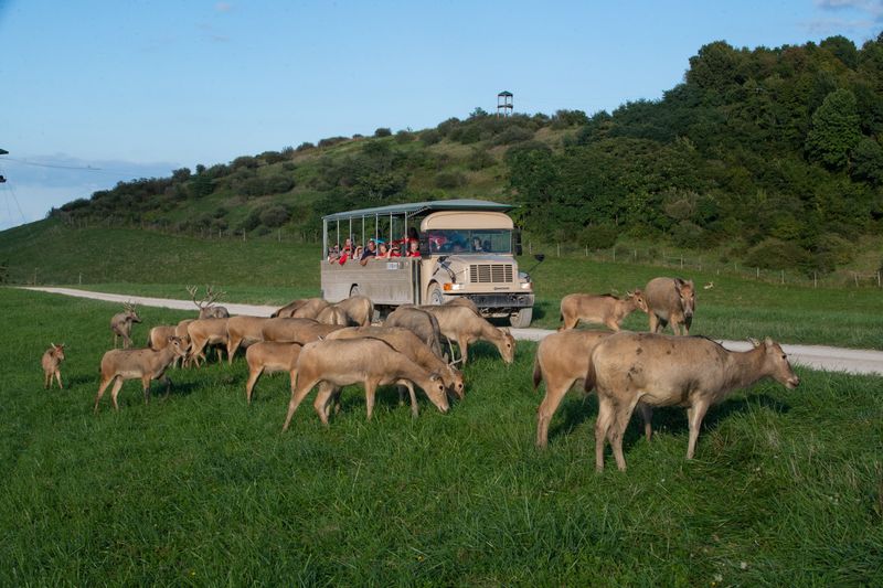 The Wilds (Cumberland)