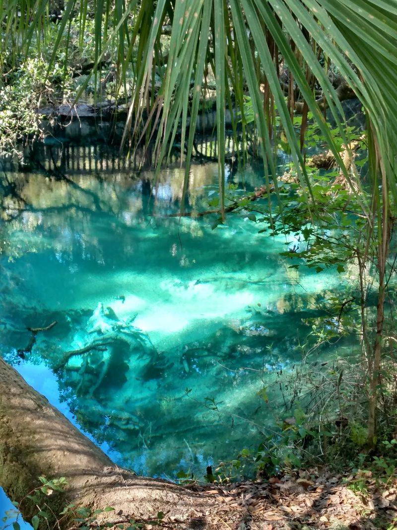 Crystal-Clear Spring Water at a Perfect 72 Degrees