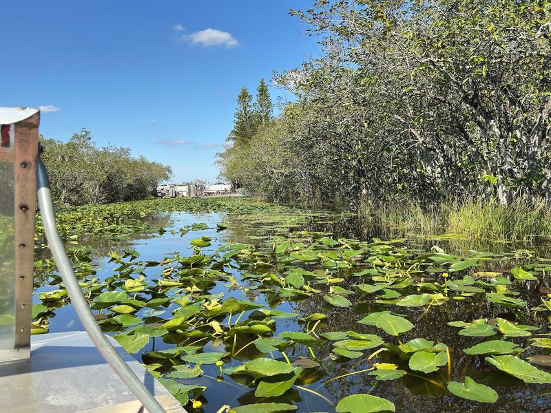 Coopertown Everglades Airboat Tour (Miami/Everglades)