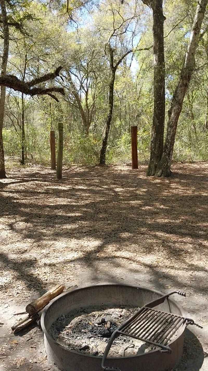 Camping Right Inside the Action