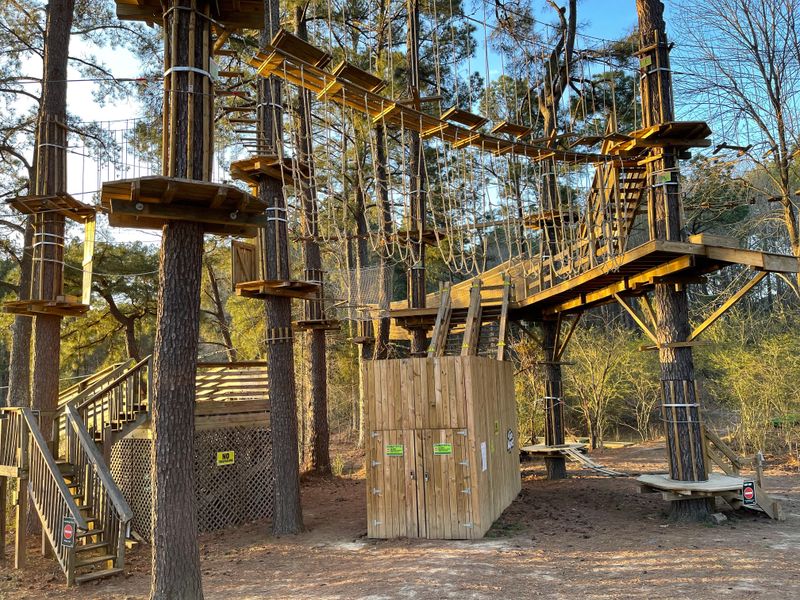 Climb and Zip at Go Ape Adventure Park