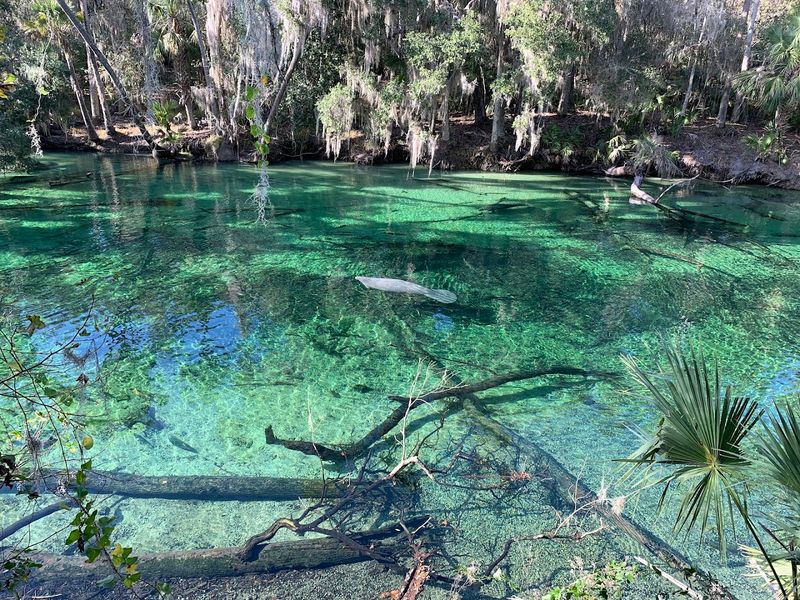 Blue Spring State Park (Orange City)