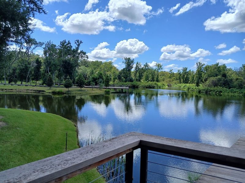 Lake Boardwalk with Peaceful Water Views