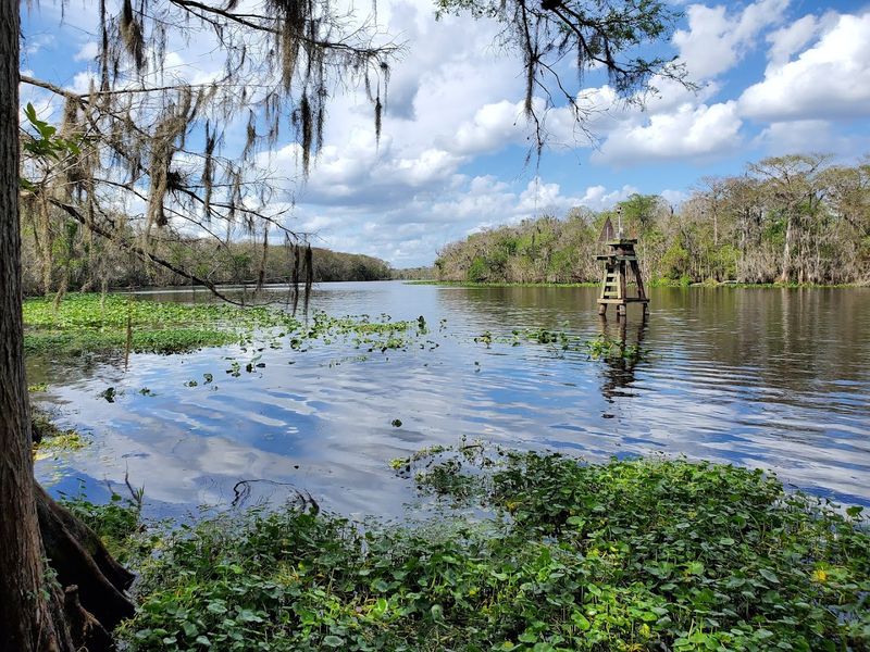 Reaching the St. Johns River Overlook
