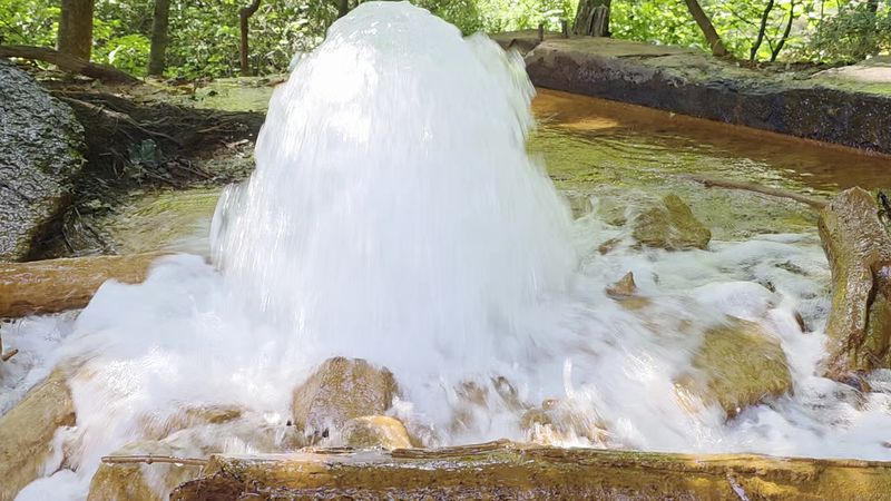 Photography Tips You Can Use