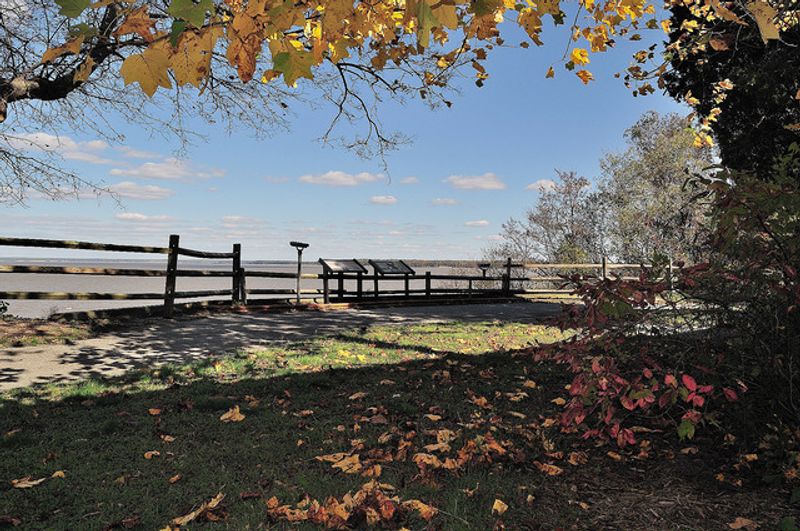 Chippokes State Park (Surry)