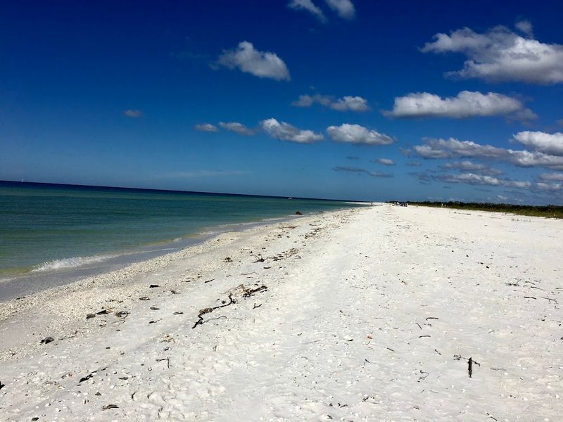 Beach Bliss On The Gulf Side