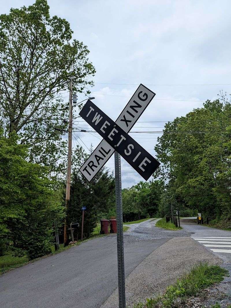 Why the Tweetsie Trail Is Perfect for Biking and Walking