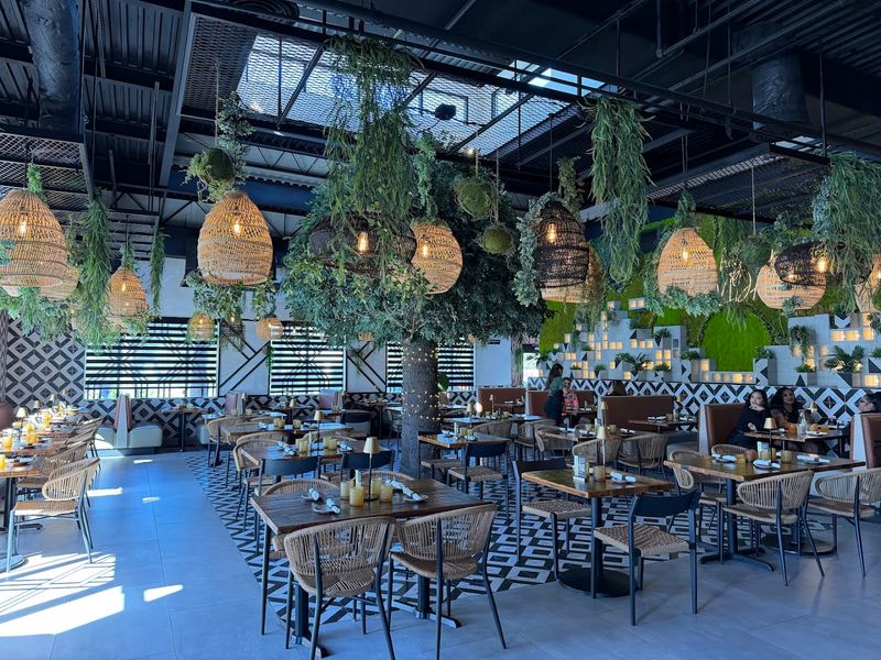 Vida Cocina & Tequila (Altamonte Springs)