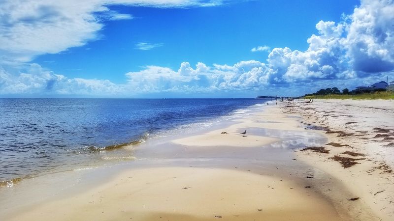 Alligator Point Beach (Alligator Point)