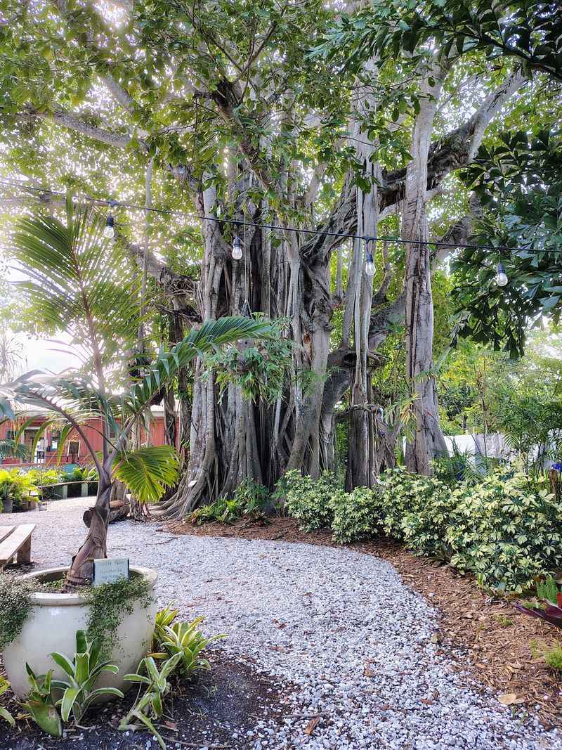 Tropical Gardens Worth Slowing Down For