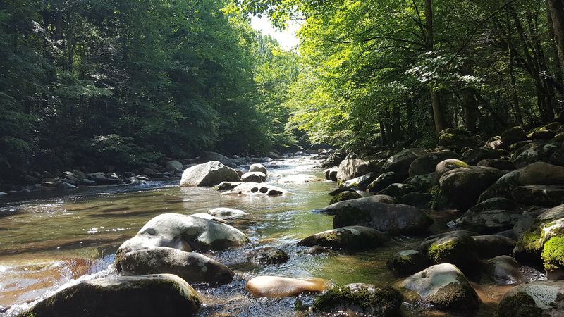This Peaceful Gatlinburg Spot Might Be Tennessee's Perfect Picnic Escape