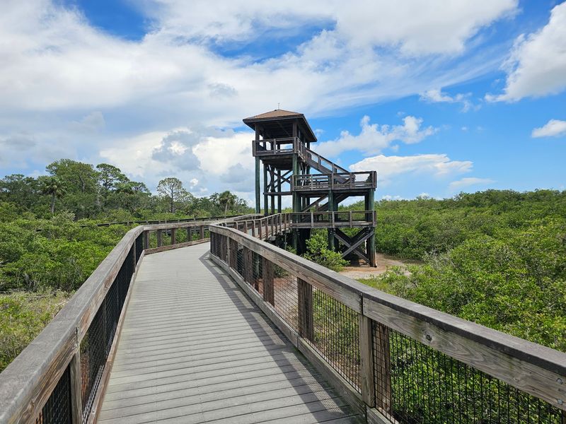 Boca Ciega Millennium Park Observation Tower (Seminole)